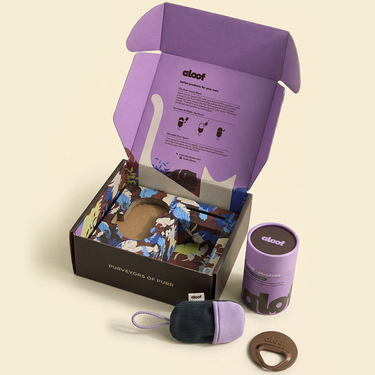 The Cat Essentials Gift Box