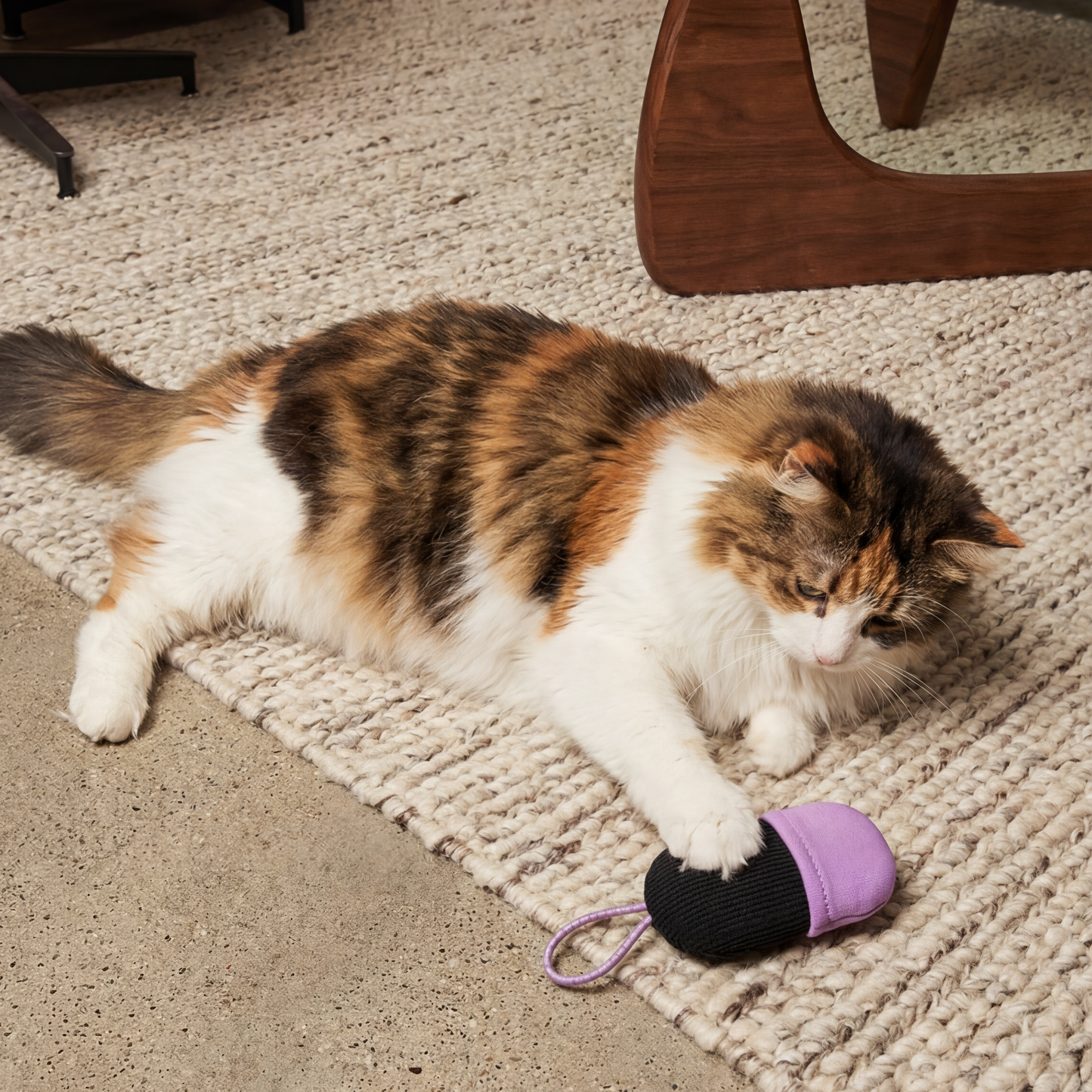 No-Mess Catnip and Silvervine Pouch Toy