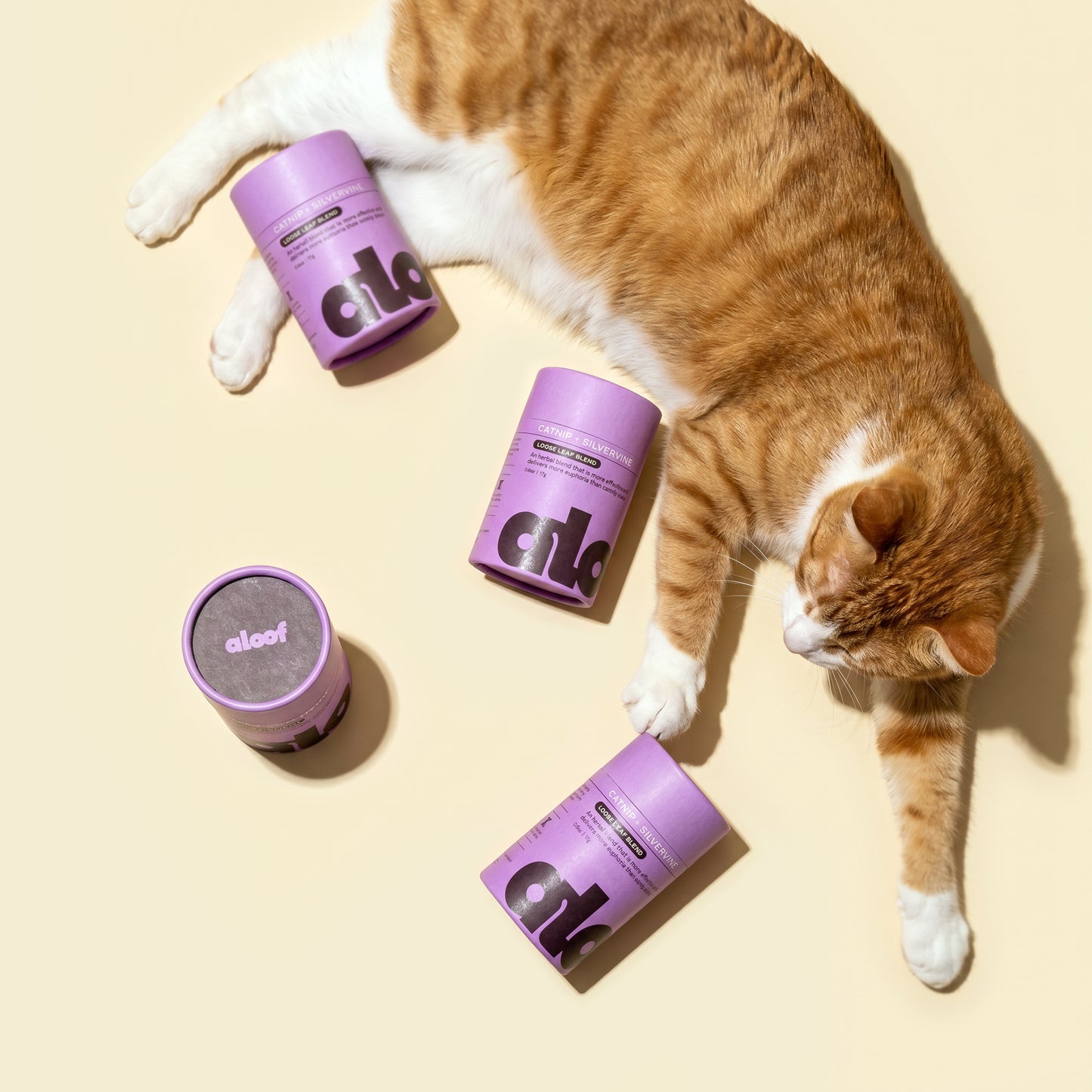 Herbal Treat for Cats: Catnip + Silvervine Loose Leaf Blend