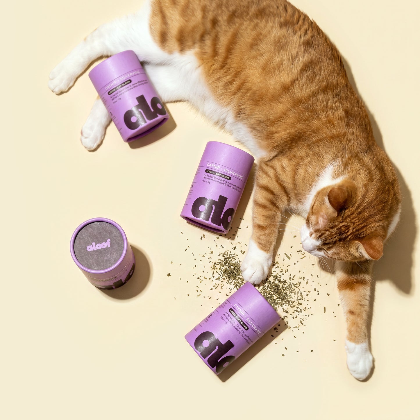 Herbal Treat for Cats: Catnip + Silvervine Loose Leaf Blend