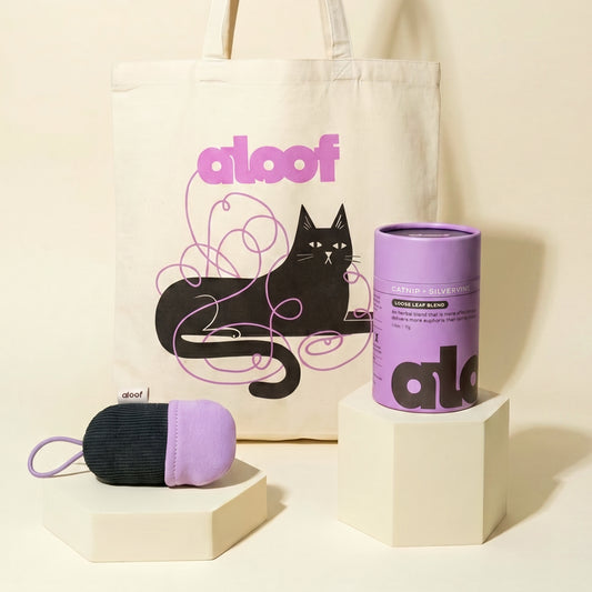 Cat Mom on the Go