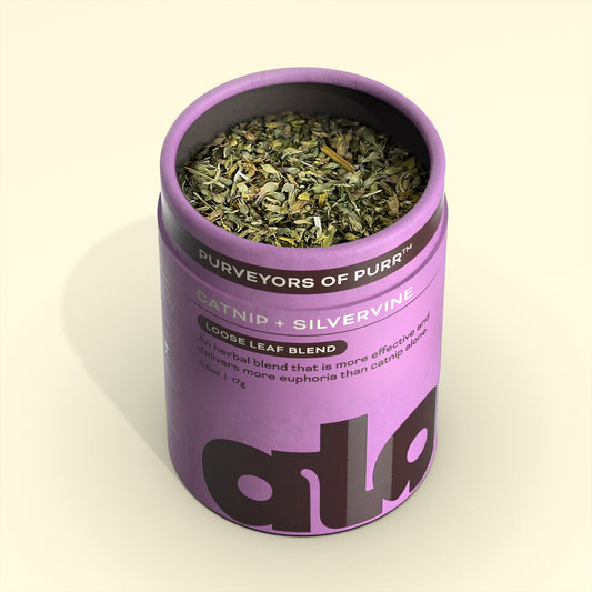 Herbal Treat for Cats: Catnip + Silvervine Loose Leaf Blend